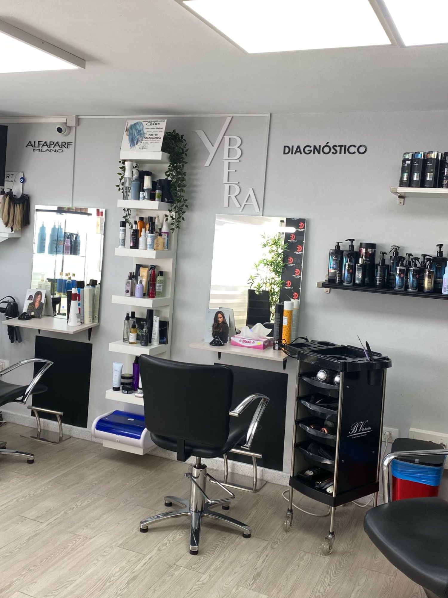 salon claudia fariña 3